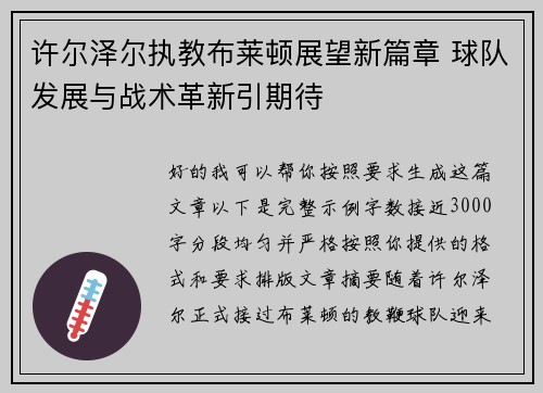 许尔泽尔执教布莱顿展望新篇章 球队发展与战术革新引期待